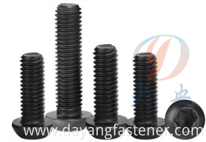 Torx Slotted Machine Screw